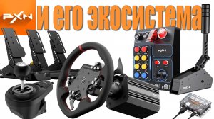 PXN и его экосистема/отзыв после двух лет