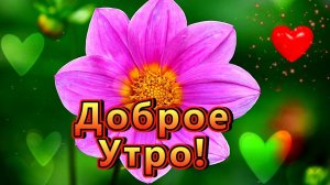 💖ДОБРОЕ УТРО!💖 ЧУДЕСНОЙ ПЯТНИЦЫ! 💖ЛЁГКОГО ДЕНЁЧКА И УДАЧНЫХ ВАМ ВЫХОДНЫХ!💖🌹🌹🌹🌹🌹🌹🌹🌹🌹🌹🌹