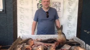 хороший улов карпа на большом водоёме