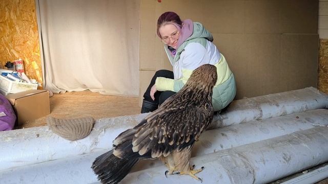 Это какой-то неправильный попугай