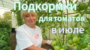 Самые ПРОСТЫЕ ПОДКОРМКИ для ТОМАТОВ в июле!