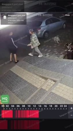 В ЖК "Мандарин" бездомные псы бросаются на прохожих. 🤫