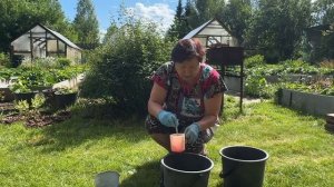 БЫСТРОЕ ДЕЙСТВИЕ ЗОЛЫ