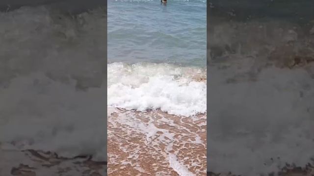 Море в Благовещенской под Анапой. 08.07.25 #жизньуморя #лето #анапа смотреть онлайн