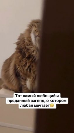 Ох уж эти глазки!
