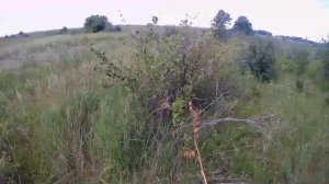 Покатушки на природу №50.😊