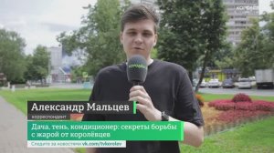 Дача, тень, кондиционер: секреты борьбы с жарой