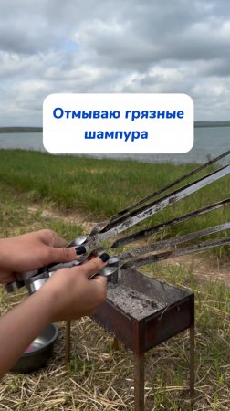 Потрясающая паста для отмывания шампуров WB #234577722 
Ozon #1664064287