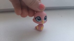 факты об lps