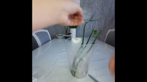 Как вырастить детку орхидеи на срезанном цветоносе. Мой опыт.