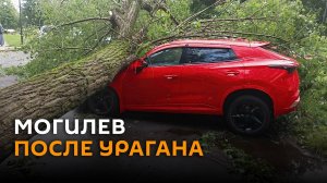 Спасатели ликвидируют последствия ночного урагана в Могилеве