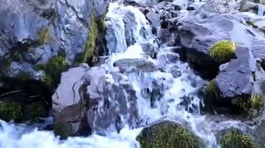 ЗВУКИ ПРИРОДЫ Журчание воды пение птиц ШУМ ГОРНОГО ВОДОПАДА РЕКИ