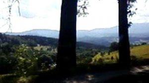 SV_A0044.mp4