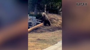 Кольский полуостров