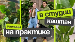 Уход за комнатными растениями. Озеленение. Практика.