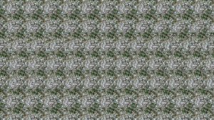 Антистресс для глаз и нервов: визуальный перерыв с пользой • Визуальный перерыв