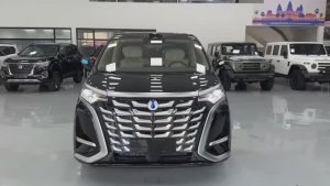 BYD Denza D9 PHEV 2025 обзор