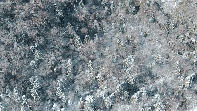 ГК Грибановка зимой