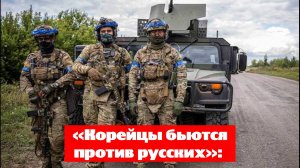 «Корейцы бьются против русских»: ВС РФ отбили утраченные позиции под Сумами