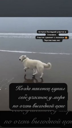 земля