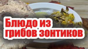 Грибы Зонтики — деликатес на сковороде