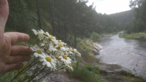 Южный Урал. Июль 2024.