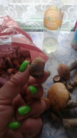 Грибочки ☺️