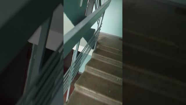1000047373.mp4
