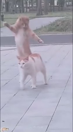Улыбнитесь, хорошего вам настроения на весь день!