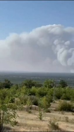 В Каменском районе бушует мощный ландшафтный пожар. Его площадь - более 300 га. 🔥