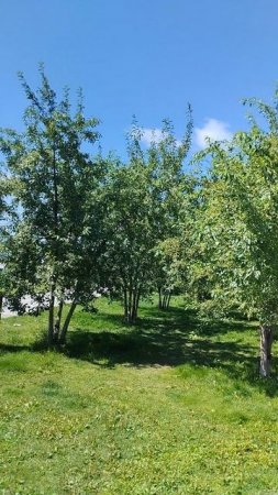 Екатеринбург сегодня