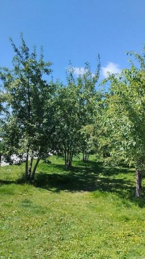 Екатеринбург сегодня