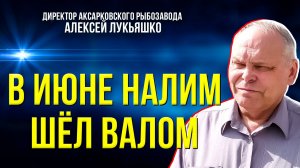 Аксарковские рыбаки за месяц добыли 90 тонн рыбы