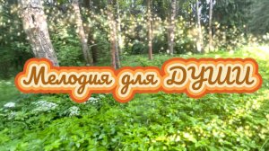Музыка для души, красивая инструментальная музыка