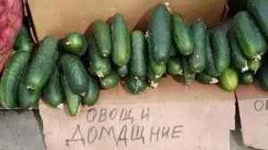 100% Способ списать долги.