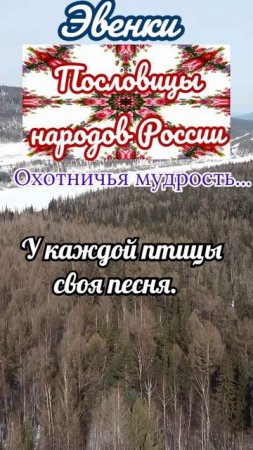 пословицы