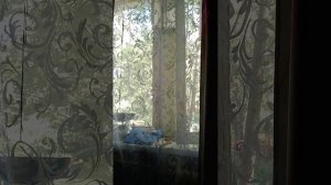 ЖАРА ЗА ОКНОМ +35 ГР  
ЗАВТРАК НА КОЛЕНКЕ