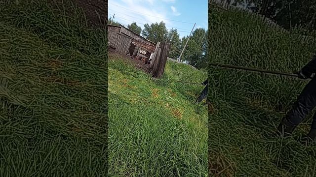 Навоз свежий на вентилятор не бросали?