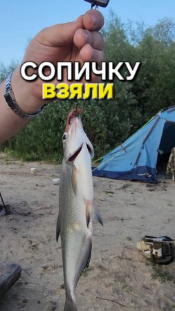 🔥Вытащили СОПУ🔥 Рыбалка на ОКЕ !!!