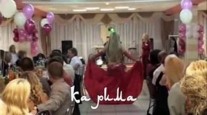 танец живота 1173