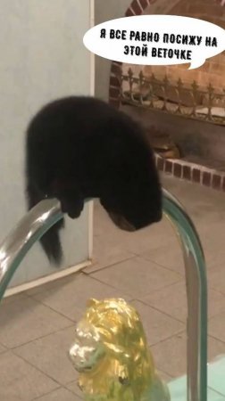 Какое странное дерево... Но я все равно на нем посижу