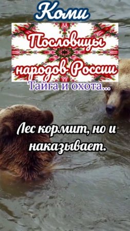 пословицы