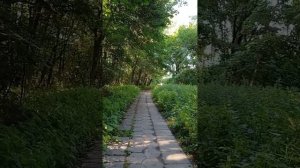 Терлецкий парк