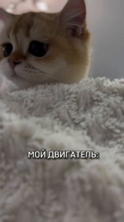 1000001077.mp4