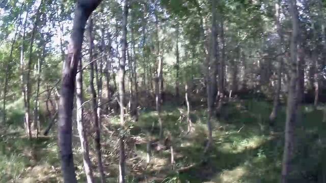Покатушки на природу №51.😊