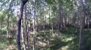 Покатушки на природу №51.😊