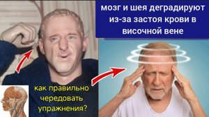 Застой крови в височной вене вызывает деградацию шеи и мозга. Упражнения