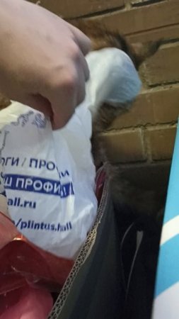 В ПАКЕТЕ