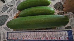 29 июня -4 июля 2025. Влог про деда домашние.