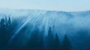 Он идеален, как первый поцелуй под дождем... - Dynamite -- Golden Duck Orchestra -- Golden Duck Orch